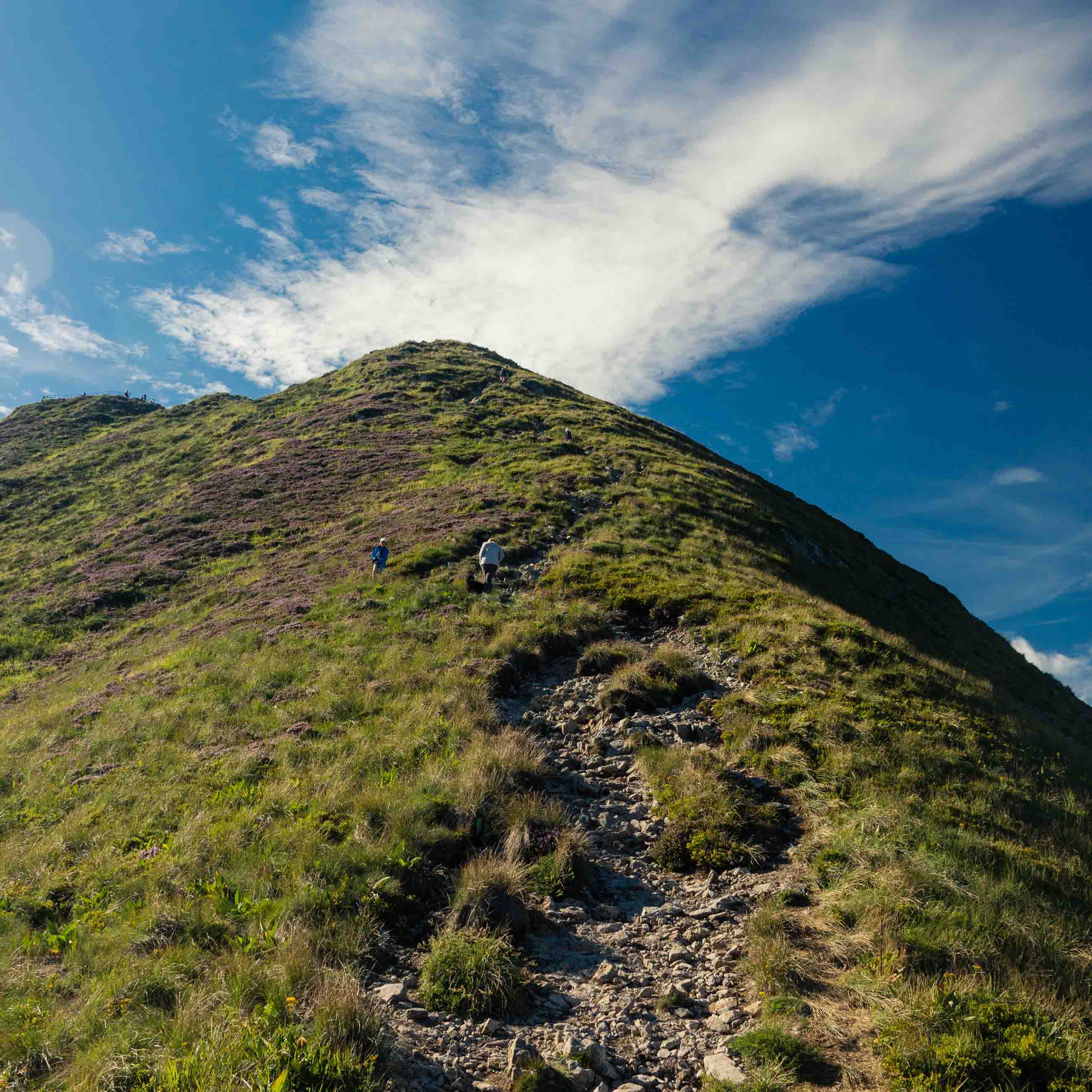 Auvergne-093.jpg