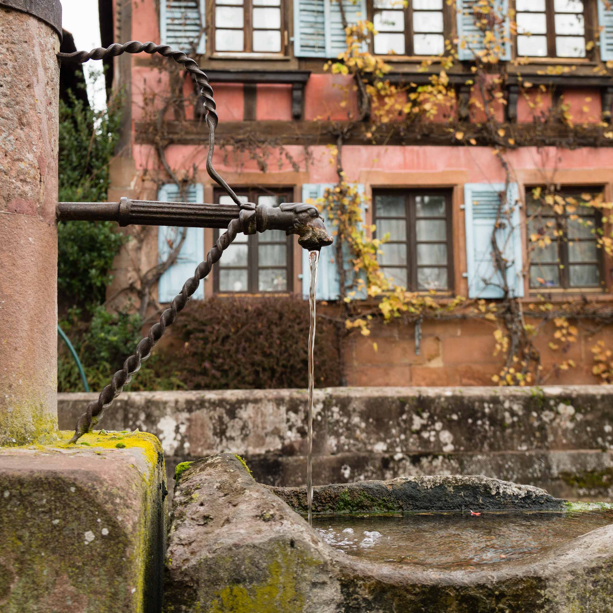 Elsass0002.jpg
