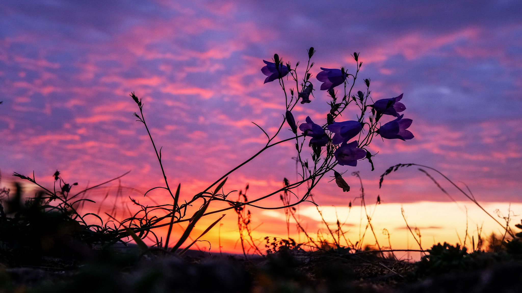 Sonnenuntergang Belvoir