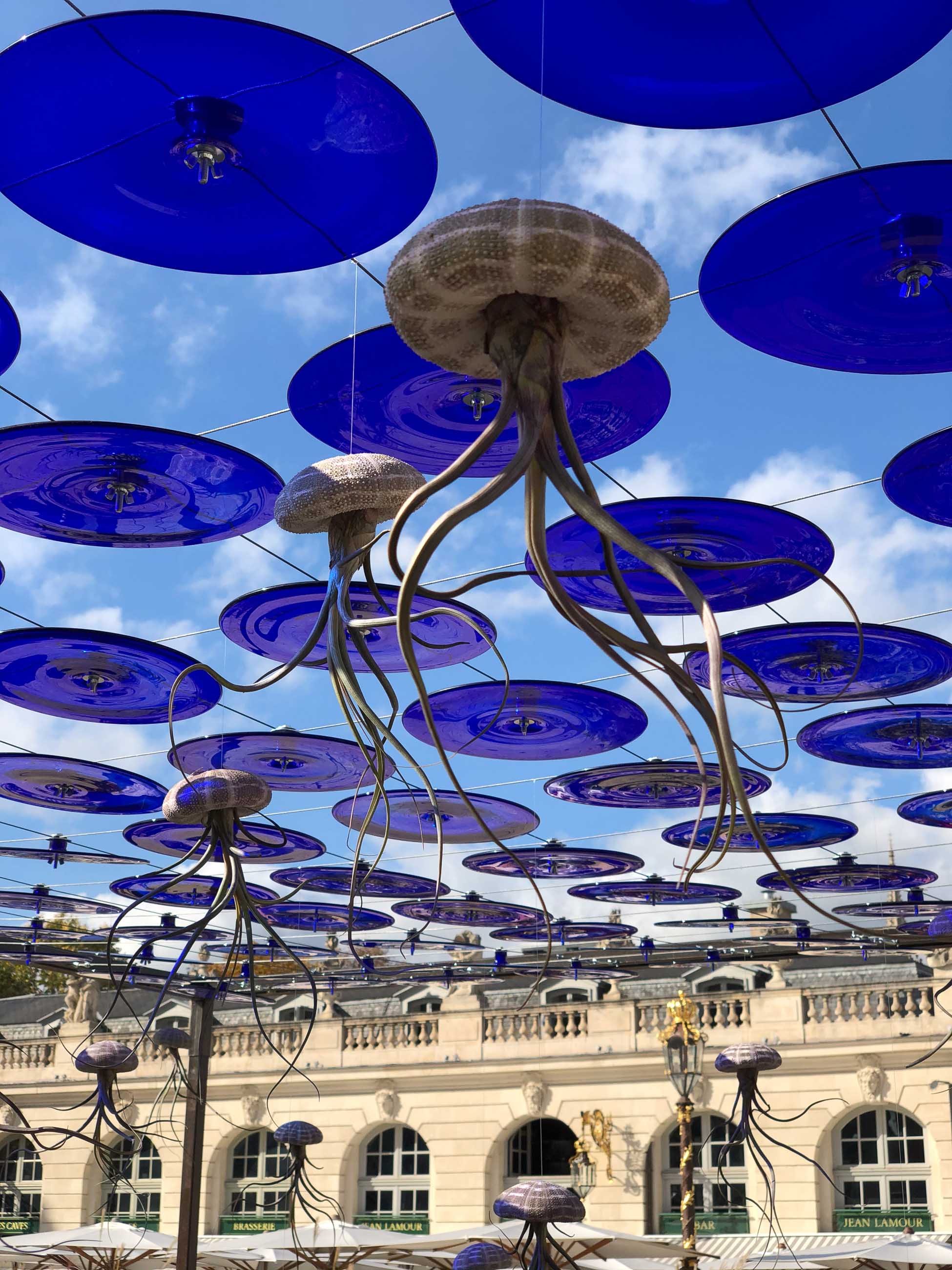 Jardin Ephemere