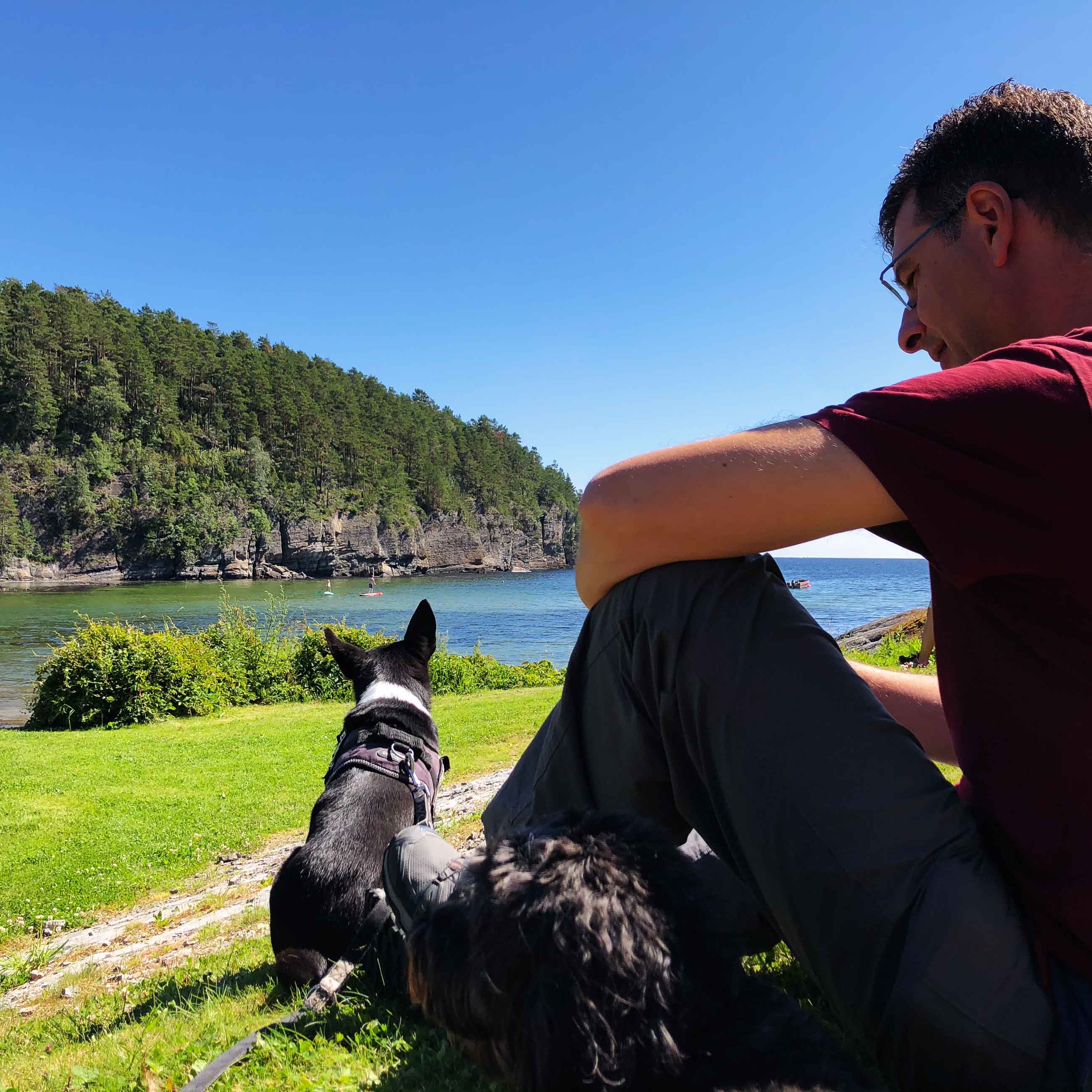 in der Schärenbucht