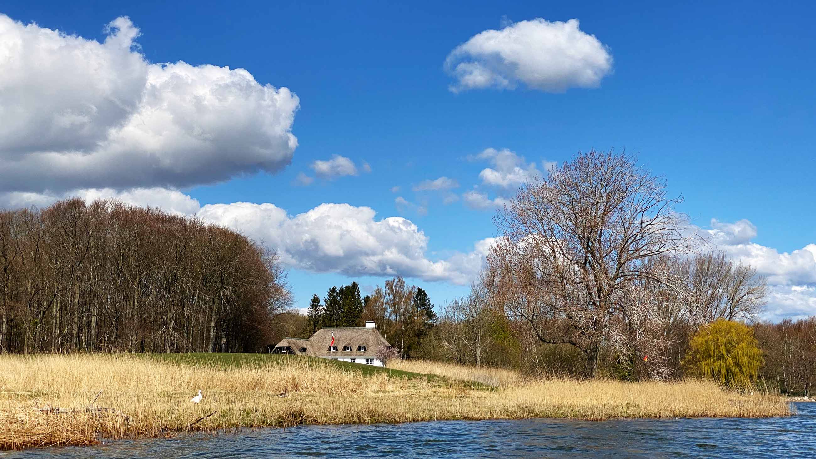 Kajak auf der Schlei