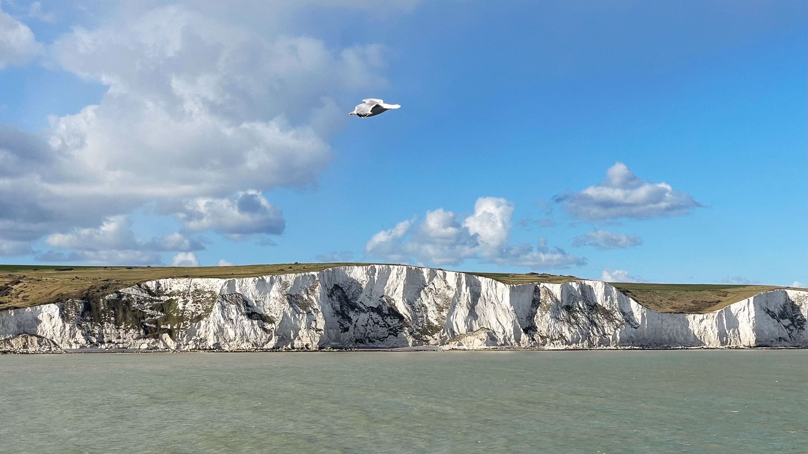 Fähre Calais Dover