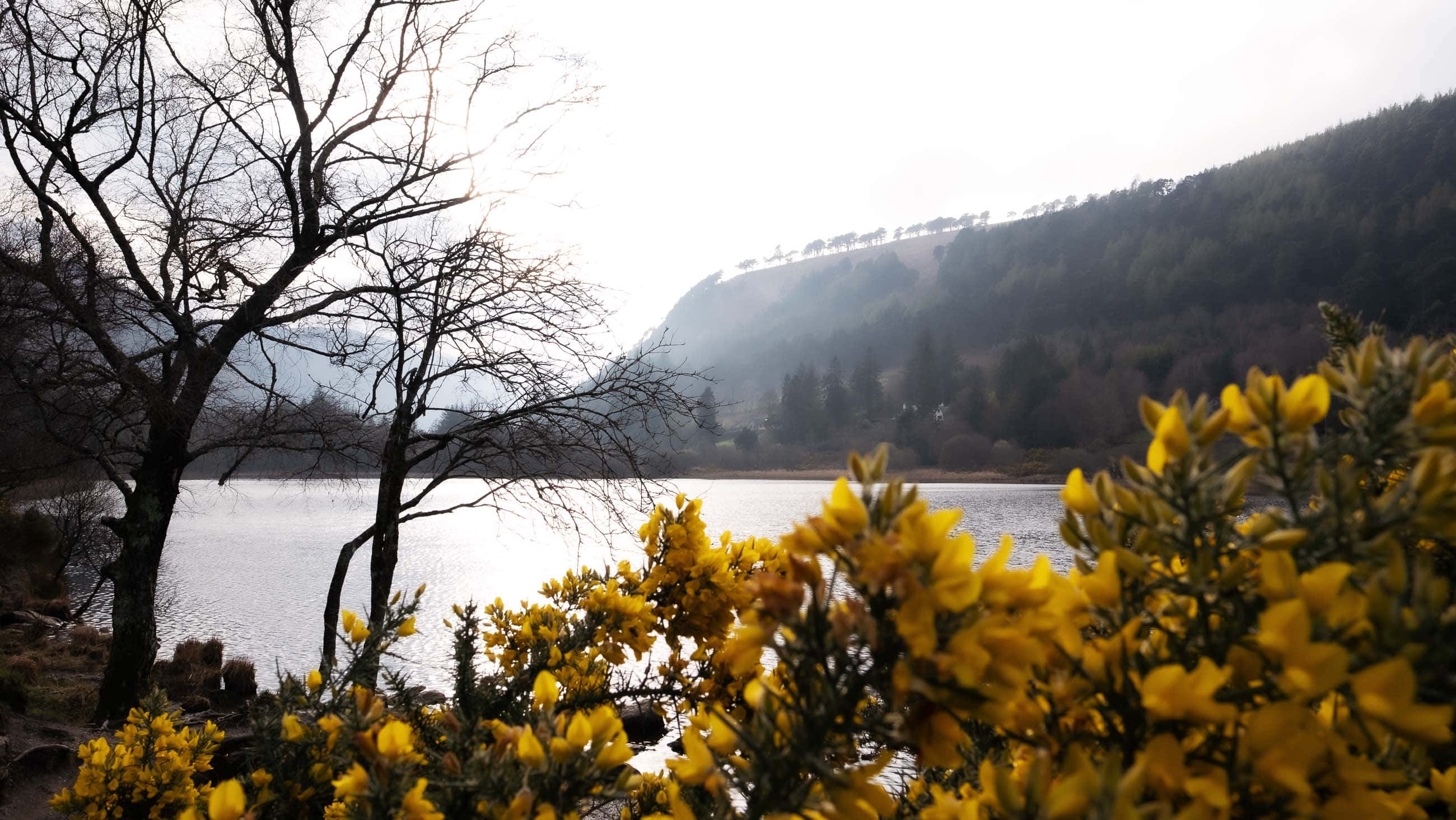Glendalough