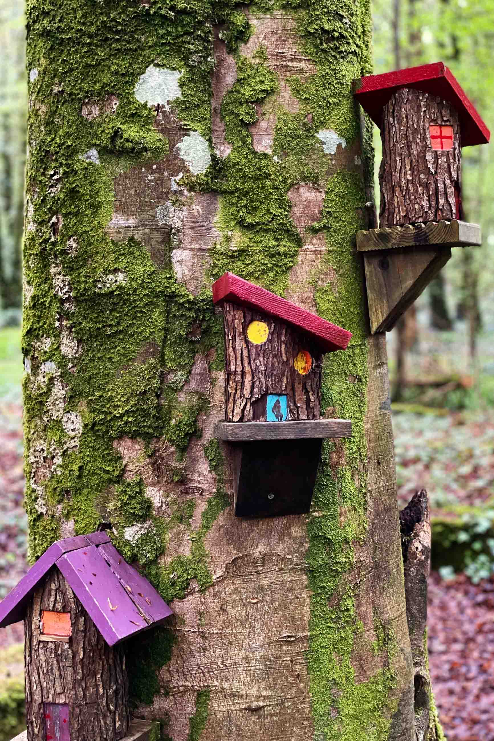 Fairies Walk