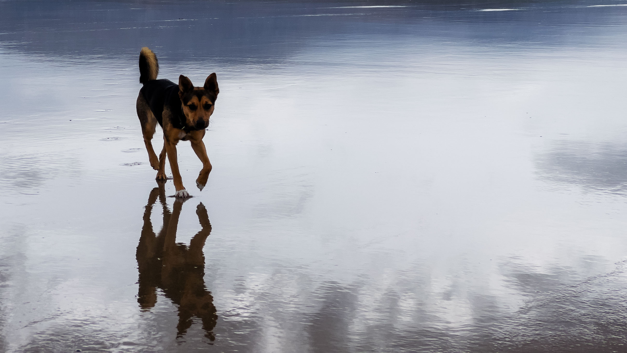 Tramore Beach