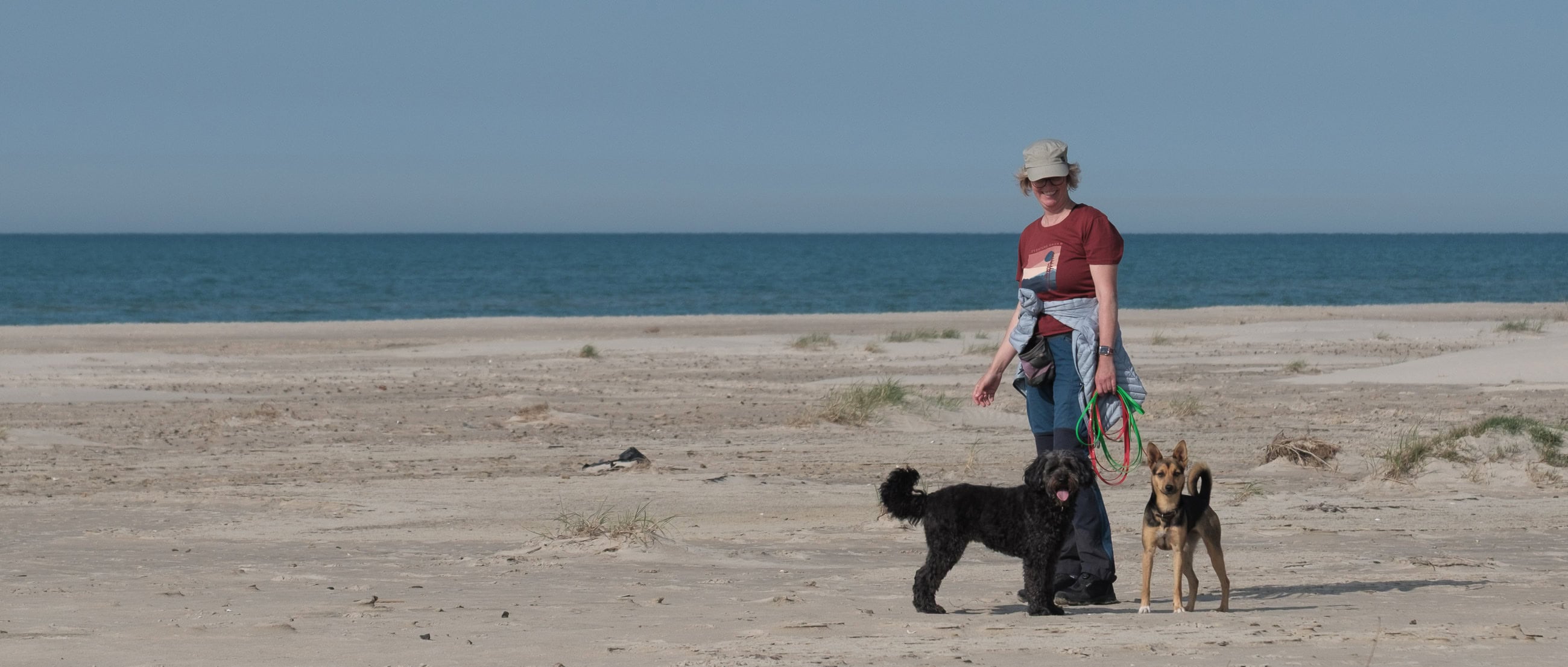 Annette mit Hunden