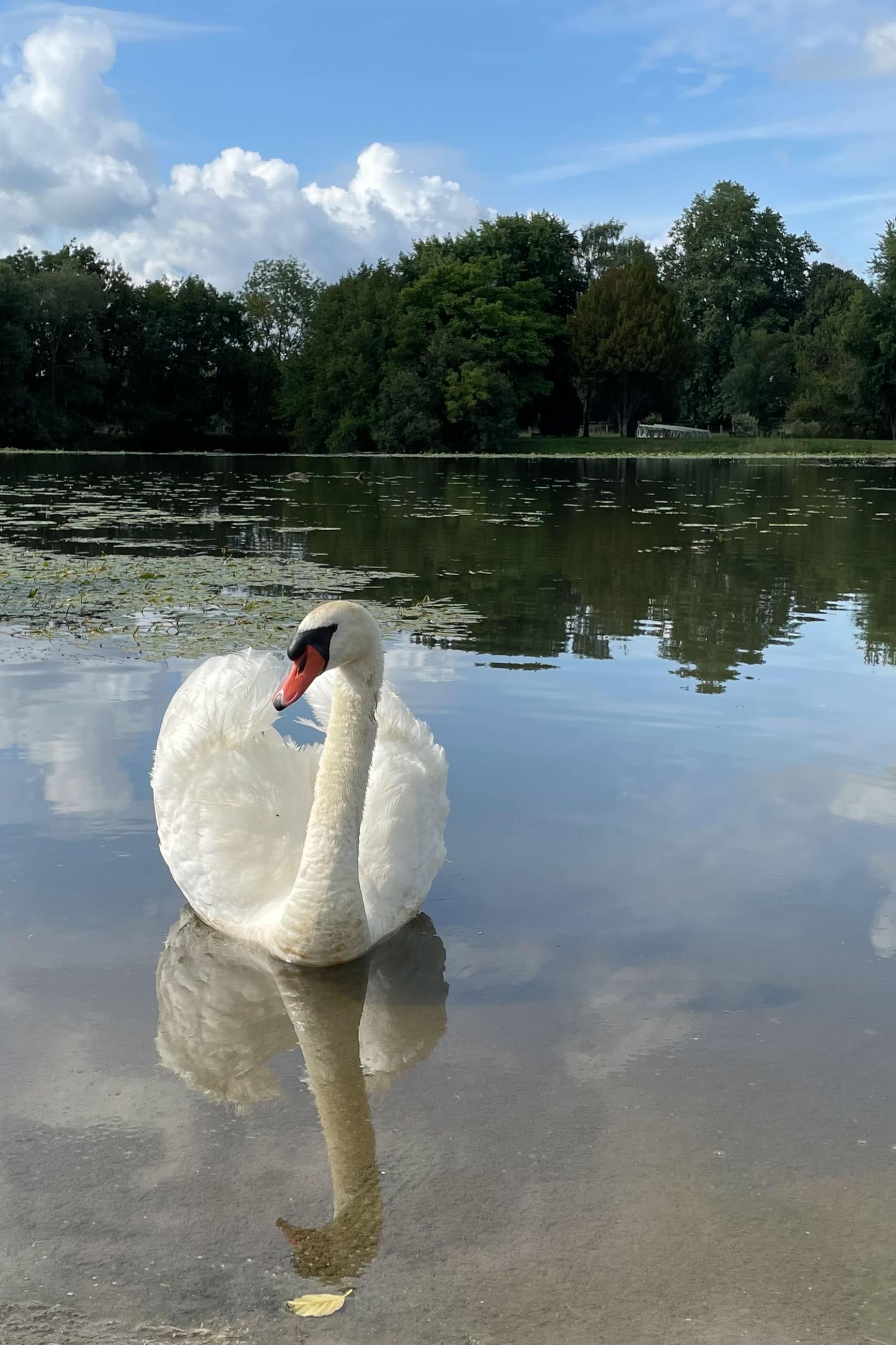 Scey-sur-Saône-et-Saint-Albin