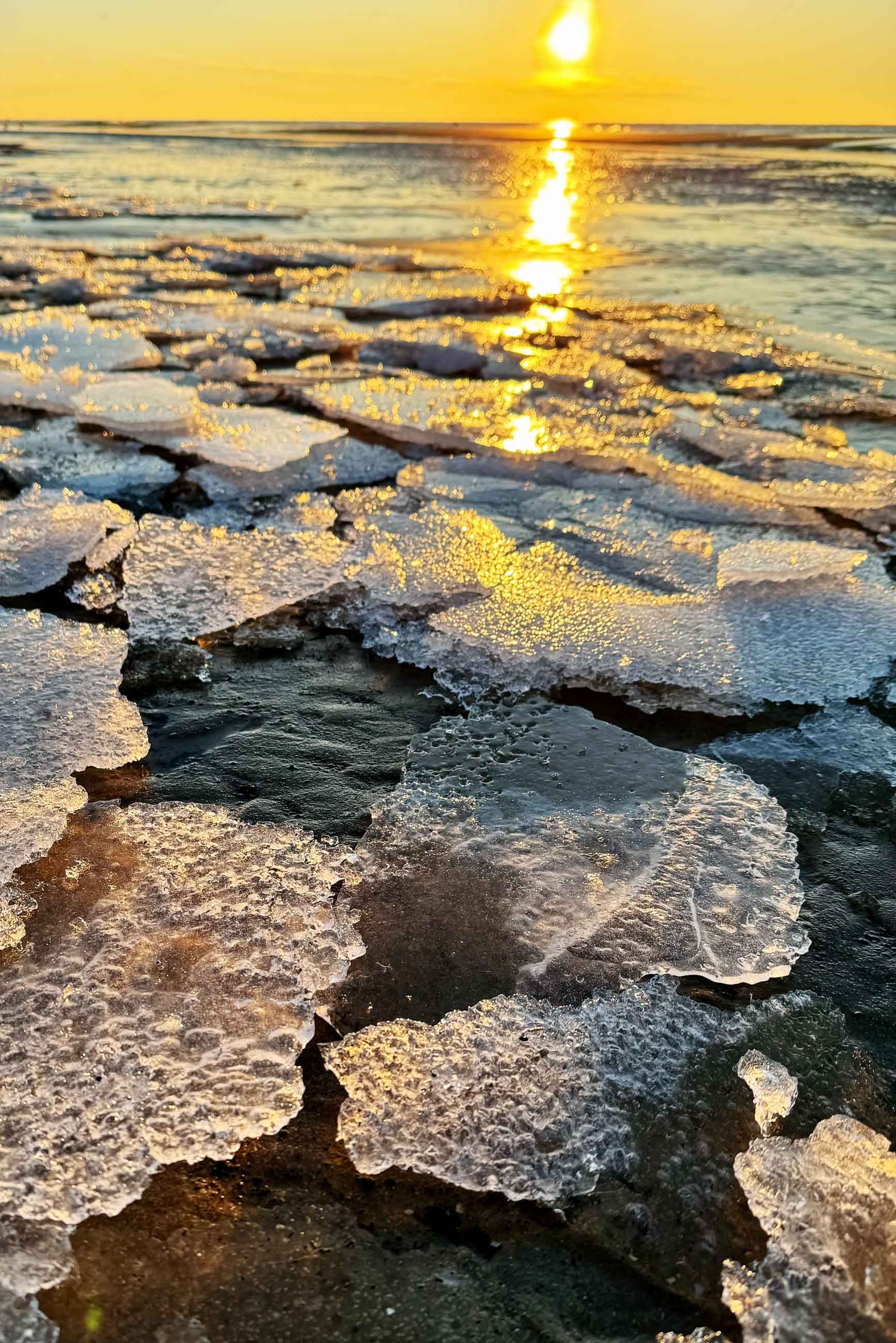 Eis am Meer