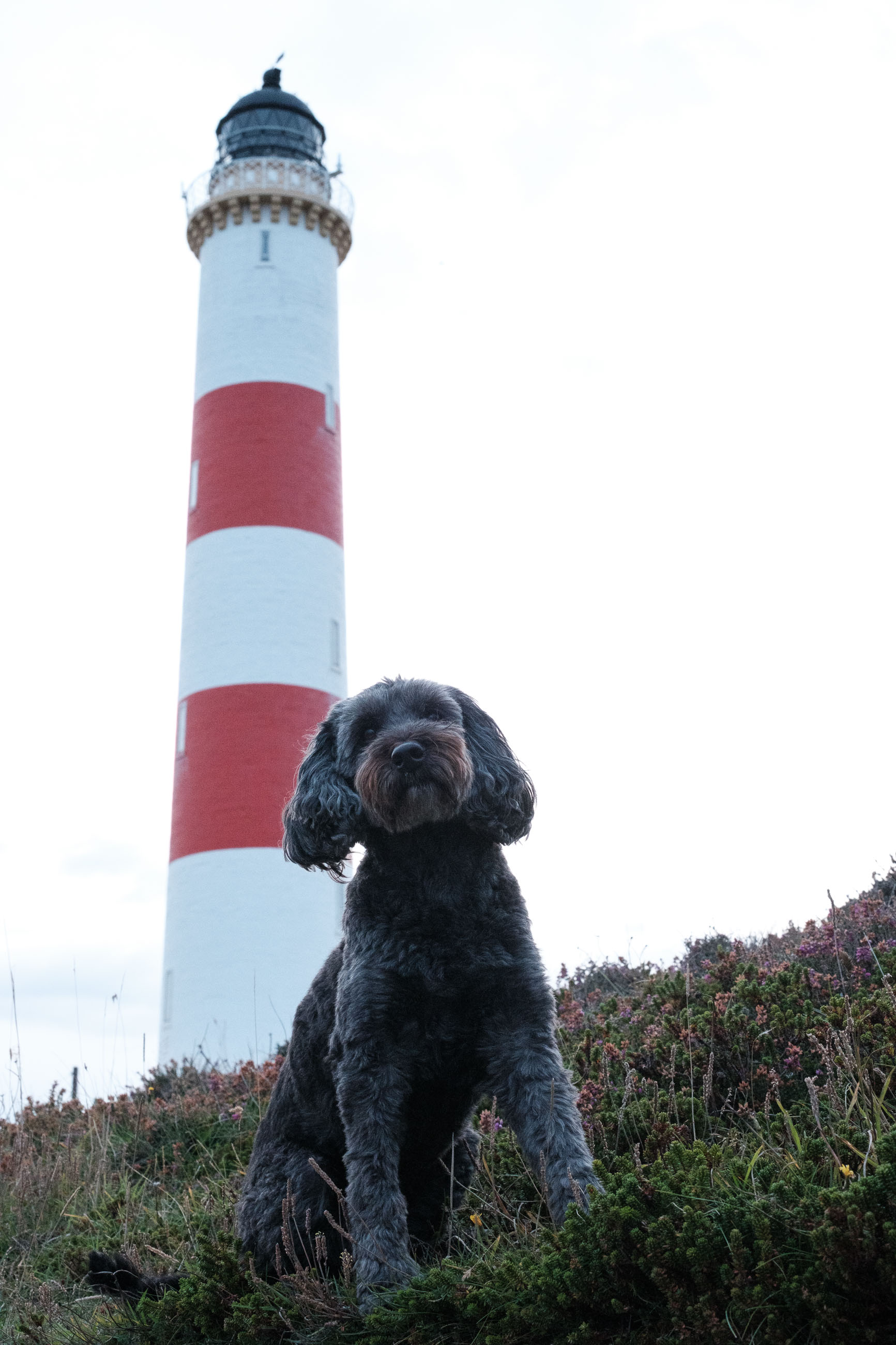 Tarbat Ness