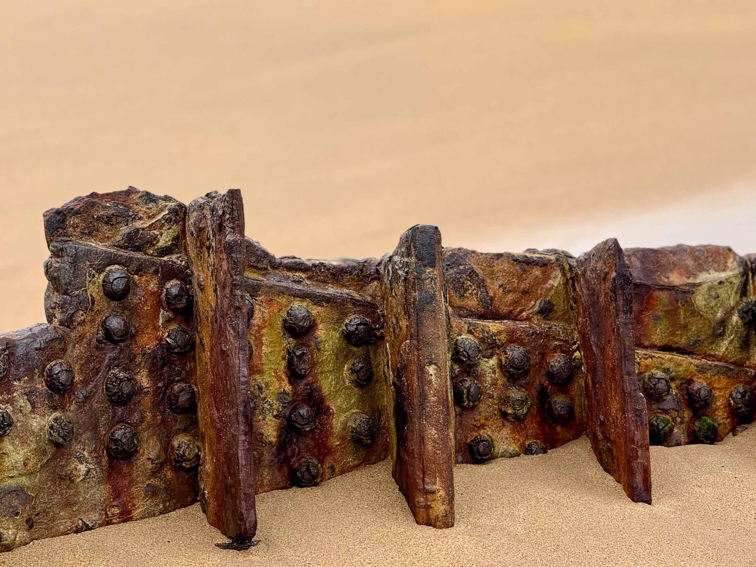 Wrack Details