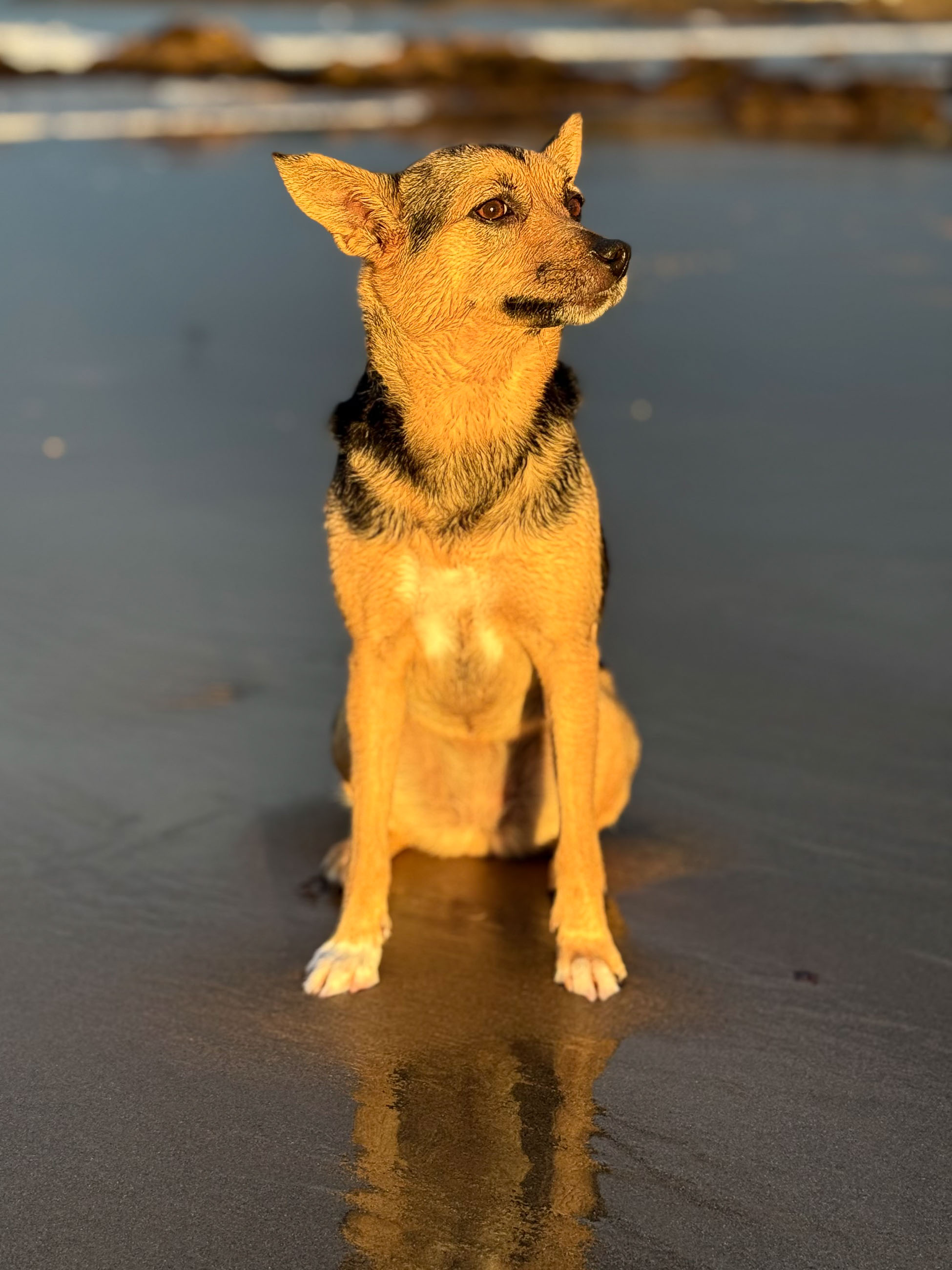 Cullen Sunset Rainbow