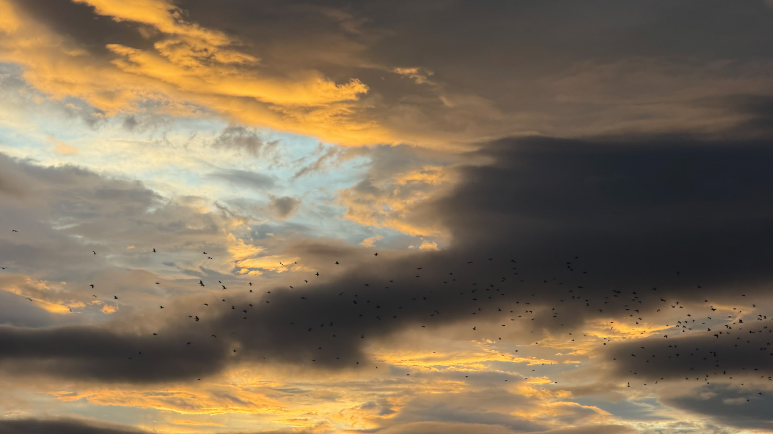 Cullen Sunset Rainbow